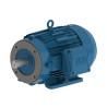 Motor Trifásico Carcasa Fundición de Hierro - WEG W22 IE1 de 2,00CV 1500rpm 220/380V IP55 90L B34