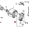 Portacarbones Y Carbones Taladro Skil 6555 Original