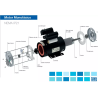 Motor Monofásico Weg 1 Hp 3000 Rpm 220v 50hz Ip21