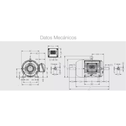 Motor Trifásico Weg 3 Hp 3000 Rpm 220/380 50 Hz Ie1