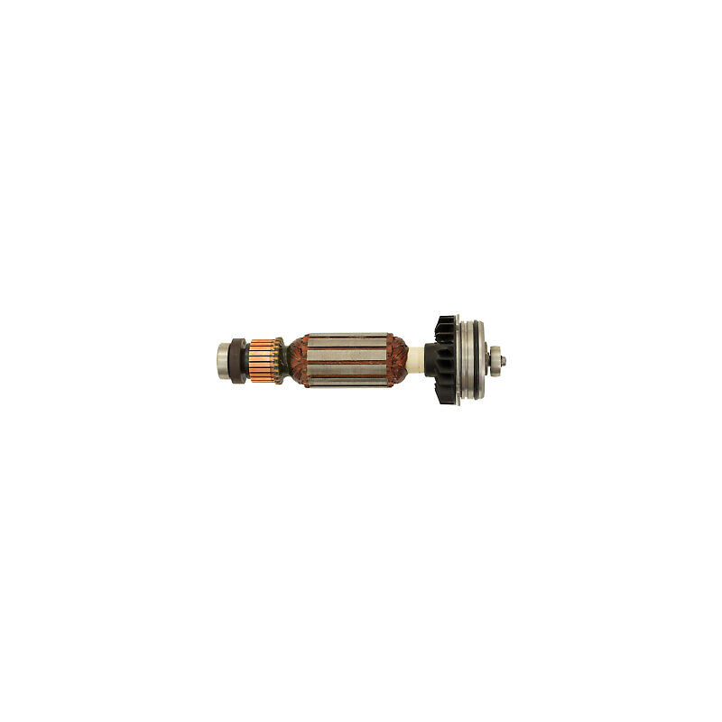 Inducido Bosch 1230