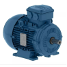 Motor Trifásico Carcasa Fundición de Aluminio - WEG IE1 de 3,00CV 1500rpm 220/380V IP55 100L B3