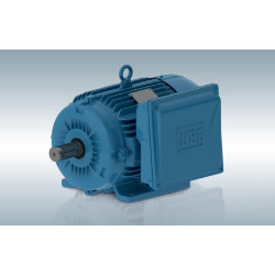 Motor Monofásico IP55 Carcasa de Fundición de Hierro - WEG  de 3,00CV 1500rpm 220V IP55 100L B3