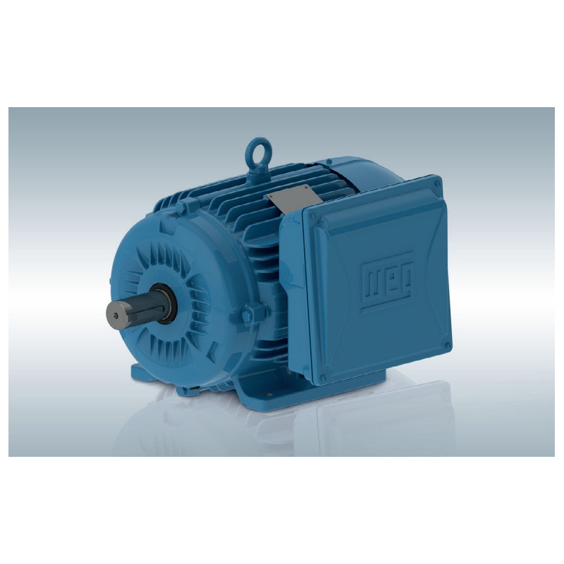 Motor Monofásico IP55 Carcasa de Fundición de Hierro - WEG  de 3,00CV 1500rpm 220V IP55 100L B3
