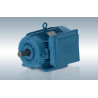 Motor Monofásico IP55 Carcasa de Fundición de Hierro - WEG  de 3,00CV 1500rpm 220V IP55 100L B3